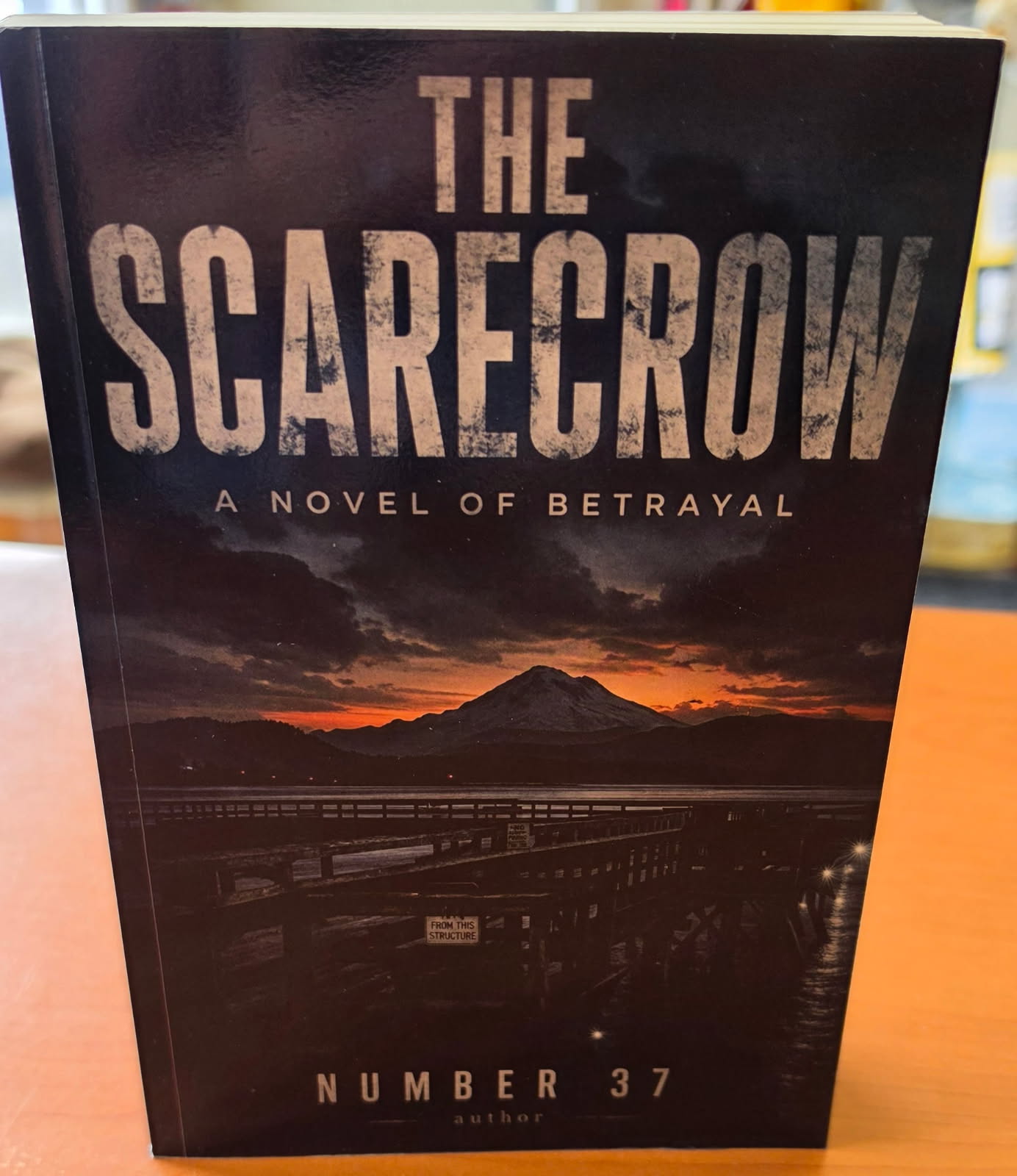 The Scarecrow by Number 37